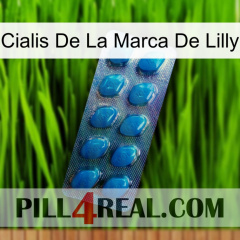 Lilly Brand Cialis viagra1